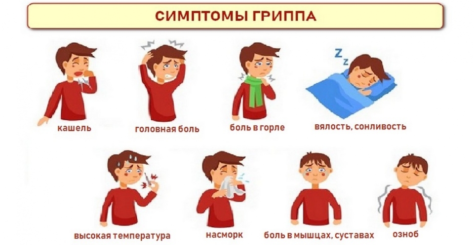 Грипп: причины, симптомы, течение болезни, вакцинация | luchistii-sudak.ru
